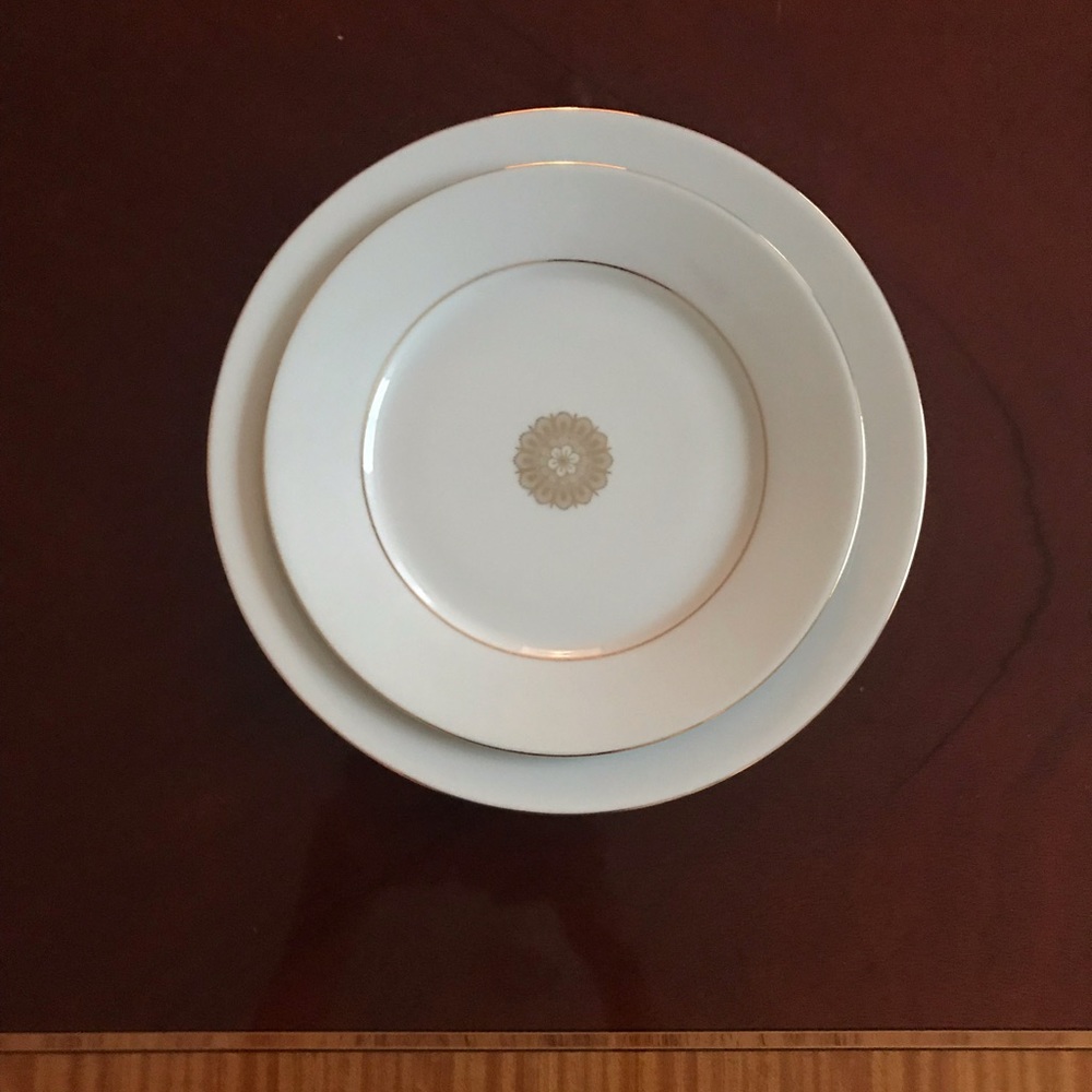 BRAND NEW Limoge China Dinnerware